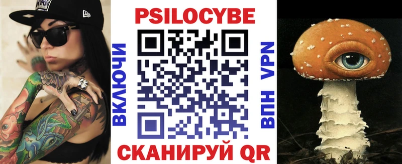 цена Санкт-Петербург Псилоцибиновые грибы GOLDEN TEACHER
