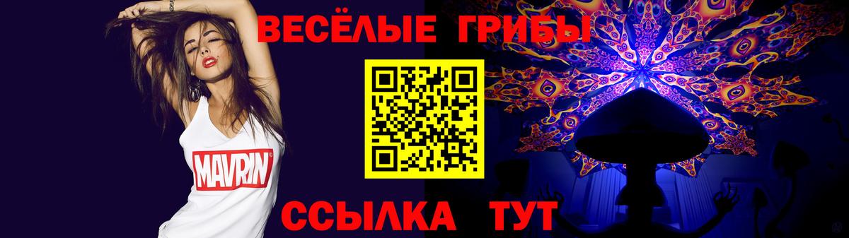 Псилоцибиновые грибы мухоморы Санкт-Петербург